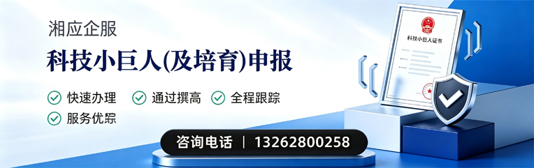 贵州科技小巨人及培育企业申报服务