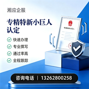 贵州专精特新小巨人申报服务