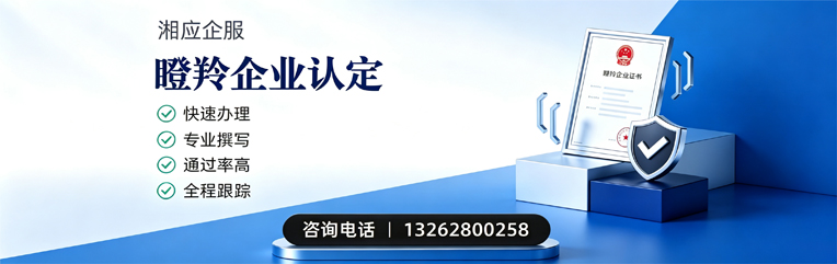 贵州瞪羚企业认定申报服务