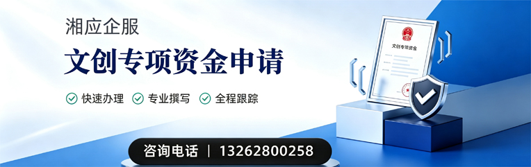 贵州文创专项资金申报服务