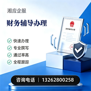 贵州财务辅导申请服务