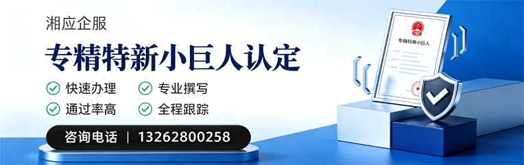 贵州专精特新小巨人申报服务